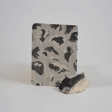 A6 Pocket notebook set - Purple Mountains & Flint Nodules